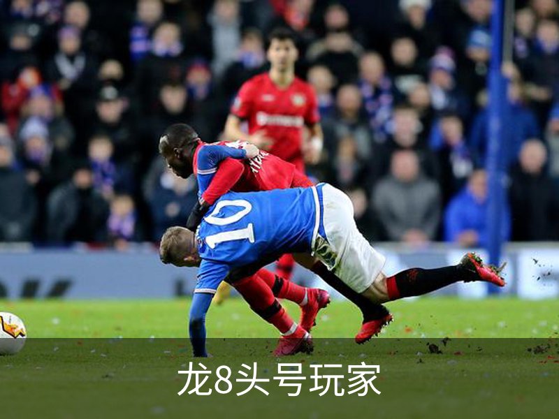 龙8头号玩家简介